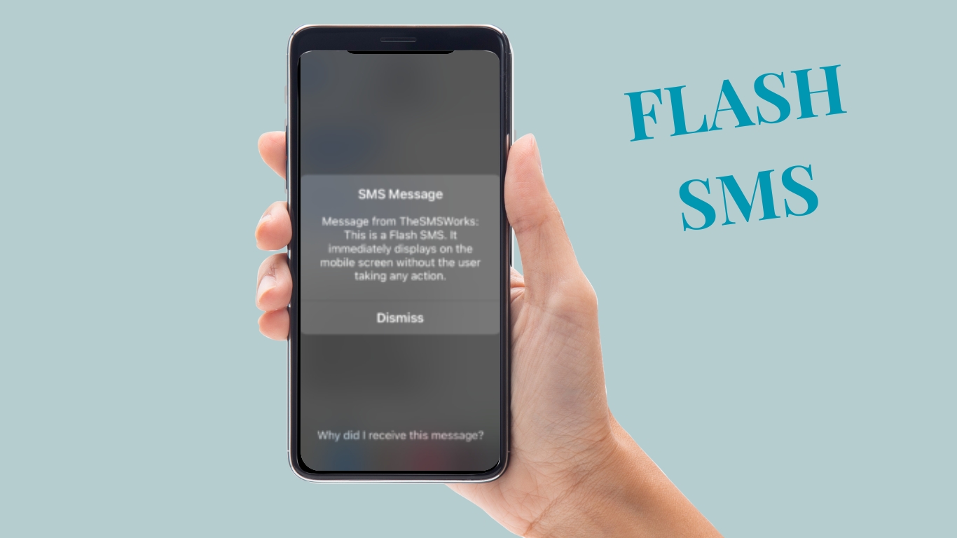 Flash SMS : We are provide best Flash SMS pan India.