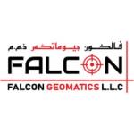 Falcon Geomatics