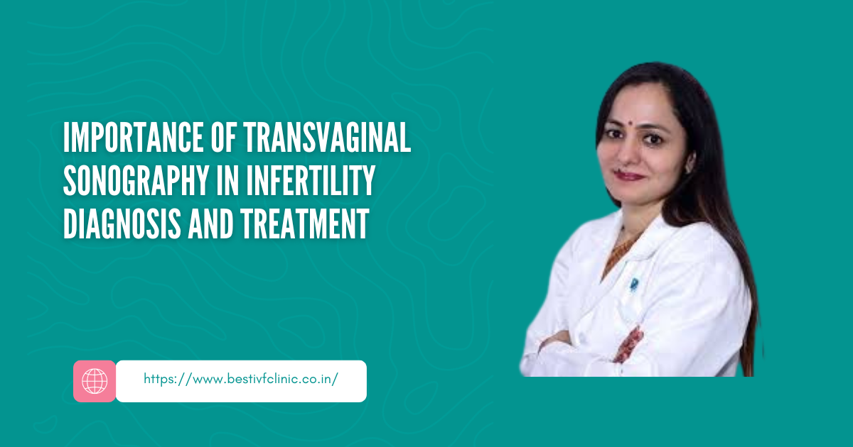 Importance of Transvaginal Sonography in Infertility Diagnosis and Treatment | by Transplantationliver | Aug, 2024 | Medium